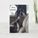 Pesquisar por família nobre cartoes postais Veterinário