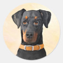 Pesquisar por pinscher doberman adesivos Pinça