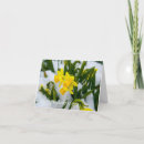 Pesquisar por narciso do narciso cartoes Floral