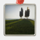 Pesquisar por toscana ornamentos Campo