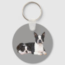 Pesquisar por boston terrier chaveiros Cachorros