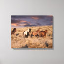 Pesquisar por cavalo selvagem impressão de canvas Mustang