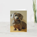 Pesquisar por daschund daschund cartoes Dogs