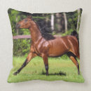 Pesquisar por cavalos árabes almofadas Equestre