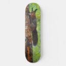 Pesquisar por esquilo skates Natureza
