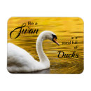 Pesquisar por pato bonito imas Patos