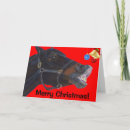 Pesquisar por pôneis natal cartoes Cavalos