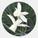 Pesquisar por do daffodil adesivos Qualquer pessoa