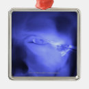 Pesquisar por transparente ornamentos Corpo