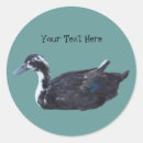 Pesquisar por pato branco adesivos Natureza