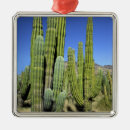 Pesquisar por méxico ornamentos Azul