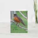 Pesquisar por thinking of you cartoes Birds