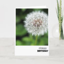 Pesquisar por dandelion cartoes Elegante