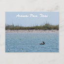 Pesquisar por arkansas cartoes postais Litoral