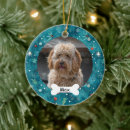Pesquisar por papoila ornamentos Cãozinho