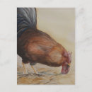 Pesquisar por rooster cartoes postais Pássaro