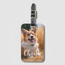Pesquisar por pets bagagem tags Para ela