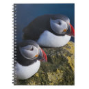 Pesquisar por puffin cadernos de notas Animal