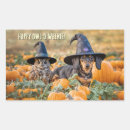 Pesquisar por dachshund engraçado adesivos Halloween
