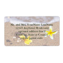 Pesquisar por havaianas etiquetas Para todos