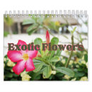 Pesquisar por flores exóticas calendarios Floral