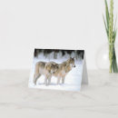 Pesquisar por lobo natal cartoes Natureza