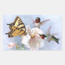 Pesquisar por colibris adesivos Pássaros