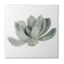 Pesquisar por plantas azulejos Verde