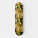 Pesquisar por sunshine skates Amarelo