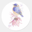 Pesquisar por bluebird adesivos Arte