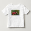 Pesquisar por rubro camisetas Ave