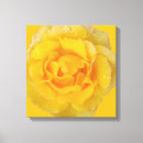 Pesquisar por gotas água de impressão de canvas Flor