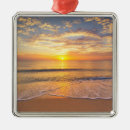 Pesquisar por mar ornamentos Oceano