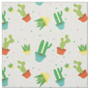 Pesquisar por succulent artesanato material Deserto