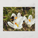 Pesquisar por wiese Frühling
