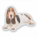 Pesquisar por basset hound adesivos Engraçado