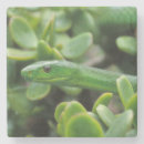 Pesquisar por perigoso porta copos Animal