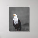 Pesquisar por pinturas preto e branco impressão de canvas Minimalista