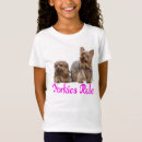 Pesquisar por yorkshire terrier Cachorrinho