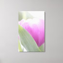 Pesquisar por tulipa branca impressão de canvas Branco