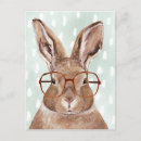 Pesquisar por coelho de coelho cartoes postais Animal