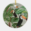Pesquisar por tucano ornamentos Tropicais