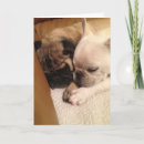 Pesquisar por speedy recovery cartoes Dog