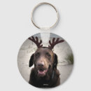 Pesquisar por chocolate labrador chaveiros Feriado