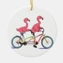 Pesquisar por flamingos ornamentos Para eles