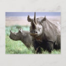 Pesquisar por rhino cartoes postais Rinoceronte