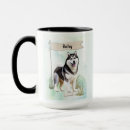 Pesquisar por siberian husky canecas Qualquer pessoa