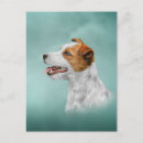 Pesquisar por jack russell terrier cartoes postais Colorido