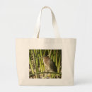 Pesquisar por wader Natureza