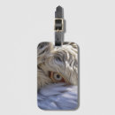 Pesquisar por pelicano bagagem tags Animal